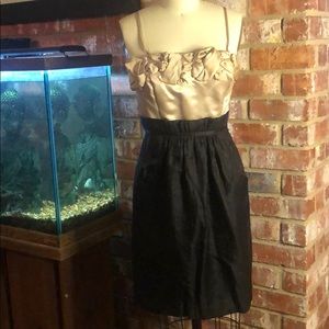 Max and Cleo knee length dress